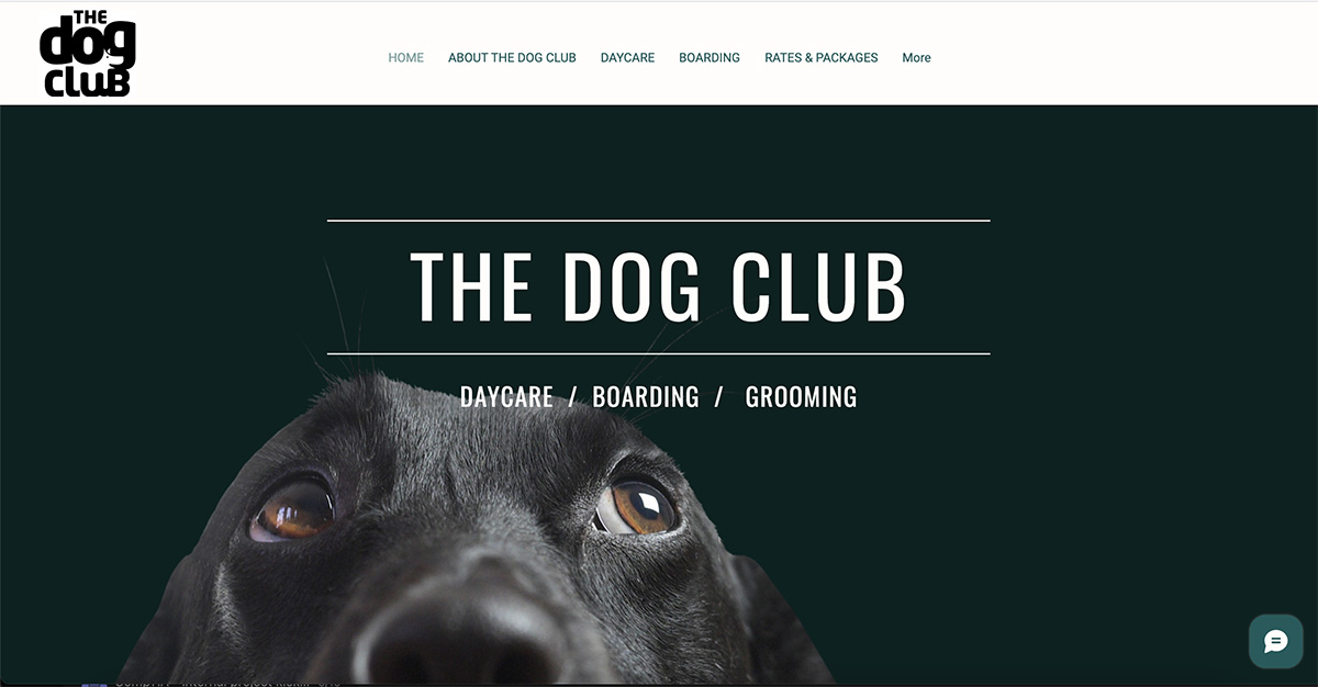 Dog club image sourcing